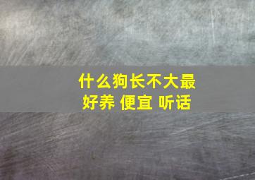 什么狗长不大最好养 便宜 听话